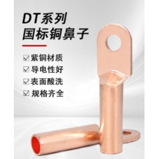 DT铜端子10平方